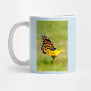 Monarch on a flower Mug